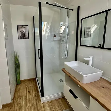 Apartment Andreea Brasov