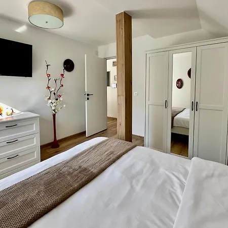 Apartment Andreea Brasov