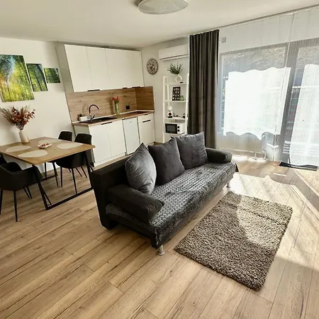 Andreea Apartment