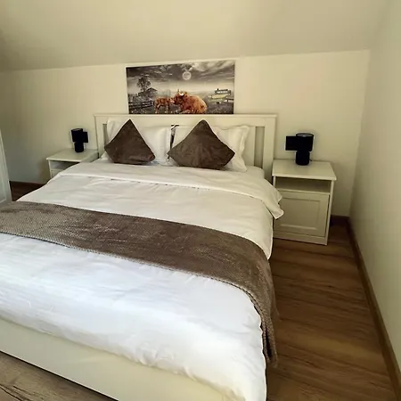 Appartement Andreea