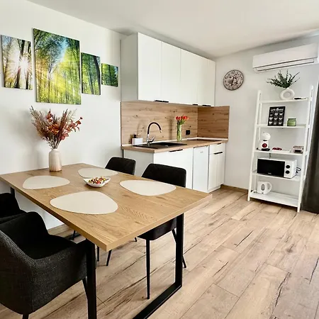 Appartement Andreea