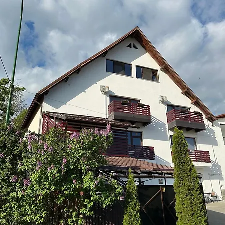 Apartment Andreea Brasov