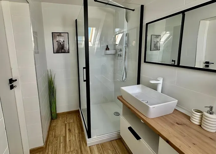 Apartment Andreea Brasov