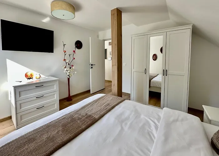 Apartment Andreea Brasov