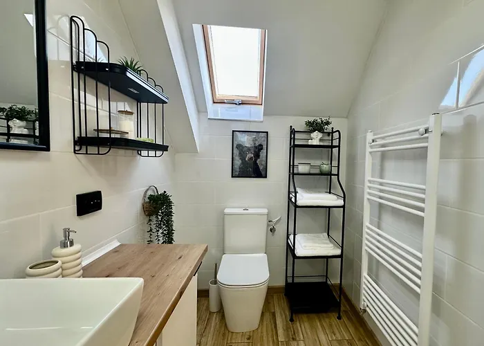 Andreea Апартаменты Брашов