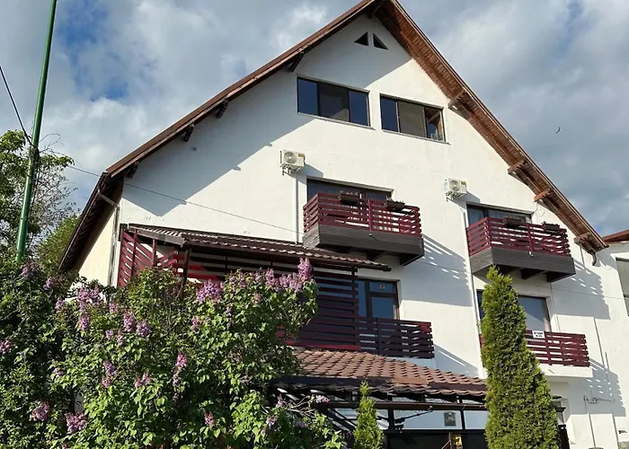 Apartment Andreea Brasov