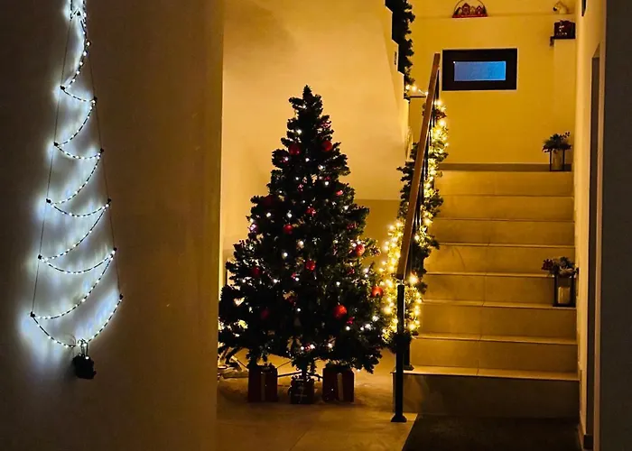 Apartment Andreea Brasov