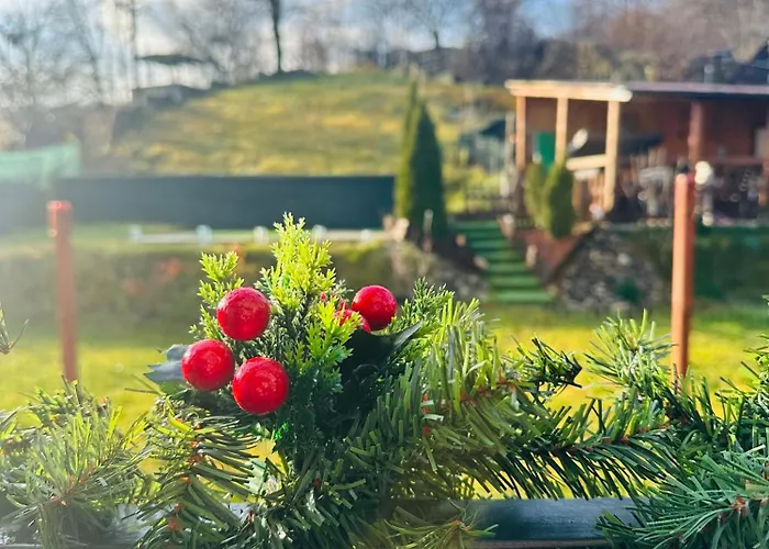 Andreea Апартаменты Брашов